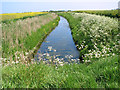 Drainage ditch north of the River Bure in NR30 5SP
