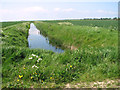 Drainage ditch separating crop fields in NR30 5SP