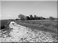 Footpath to Clink Hill in NR30 5TE