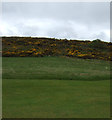 Royal Dornoch Golf Course in IV25 3RP