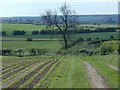 Farmland track towards Warsop in NG20 9PF