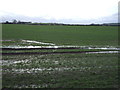 Crop field off Stanghow Road in TS12 2DX