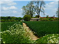 Footpath approaches Marriners Farm in Bramdean