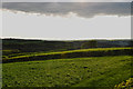 North Devon : Grassy Field in EX36 4RP