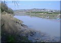 The River Usk, looking downstream in NP19 7PE