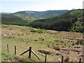 View over Hafod Wen in CF44 6LB