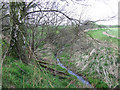 Stream, near Pillaton, Staffordshire in ST19 5RZ