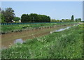 The River Nene near White Hall in PE14 0RS