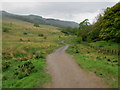 West Highland Way below Dumgoyach in G63 9AU