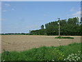 Farmland off Barton Road in PE13 4TD