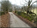 Stone wall alongside the road from Wattsville to Mynyddislwyn in Ynysddu Community