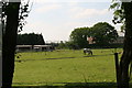 Horses grazing at Canberra Cottage Farm in DN7 6FA