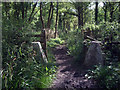 Bridleway, Ravensroost Wood in SN16 9RJ