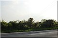 Hedgerow on Maldon Road in CO5 0PU