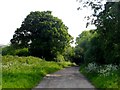 Byway to Ponsbourne Park in SG13 8NQ