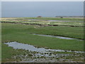Crossens Marsh in PR9 8JL