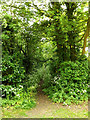 Footpath to Upper Oakley in Brome and Oakley