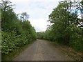 Logging road beside Loch Awe in PA35 1HG