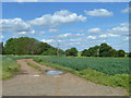 Footpath and access track in LU7 0PF