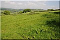 Farmland above the Twyi valley in SA19 9BB