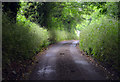 Lane  towards the A252 in TN25 4NJ
