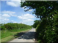 Looking along Romden Road in TN26 3EJ