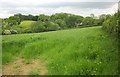 Line of footpath above the Bidwell Brook in TQ9 6DU