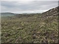 Hillside above Borrodale in IV55 8WL
