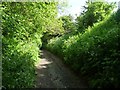 The byway to Easterton Common in SN10 4PL