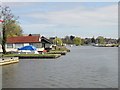 View towards Horning on the River Bure in NR12 8RR