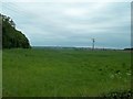 Grassland near Sutton Springs Wood in S44 5XF
