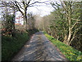 Lon Wledig Uwchben Cwm Wyre / Country Lane above Cwm Wyre in SY23 5BA