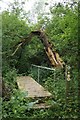 Footbridge & Dead Tree in CO9 4HD