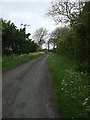 Rural lane to Cowgate in Holme St. Cuthbert
