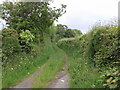 Track to Webber Hill Farm in EX20 1XJ