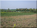 Rape Field in CM16 6PF