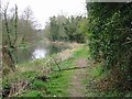 Footpath along the Bure, Horstead in NR12 7AT