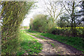 Bridleway from Pleshey to Fanner's Green in CM3 1EB