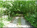 Track into Thomas's Wood in TN11 8NR