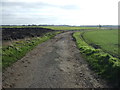 Farm track off Old Lane in Downholland