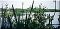 Birdwatching Lake - Cockshoot Broad in NR12 8PT