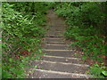 Steps down the side of White Hill in TN14 7RS