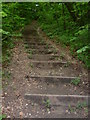 Looking up the steps at White Hill in TN14 7RS