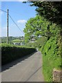 Lane to Black Torrington in EX21 5JJ