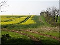 Rape near Hegdale Farm in TN25 4BE