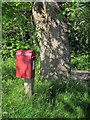 Postbox and oak tree, Libbear Cross in EX21 5HW