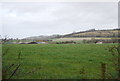 Farmland near The Alders in TN25 5NB