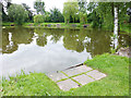 Fishing lake, Inglewwod Manor in CH66 8PQ