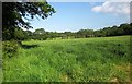 Field near the Torridge in EX21 5LF