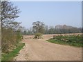 Ploughed fields in ST18 9EB
